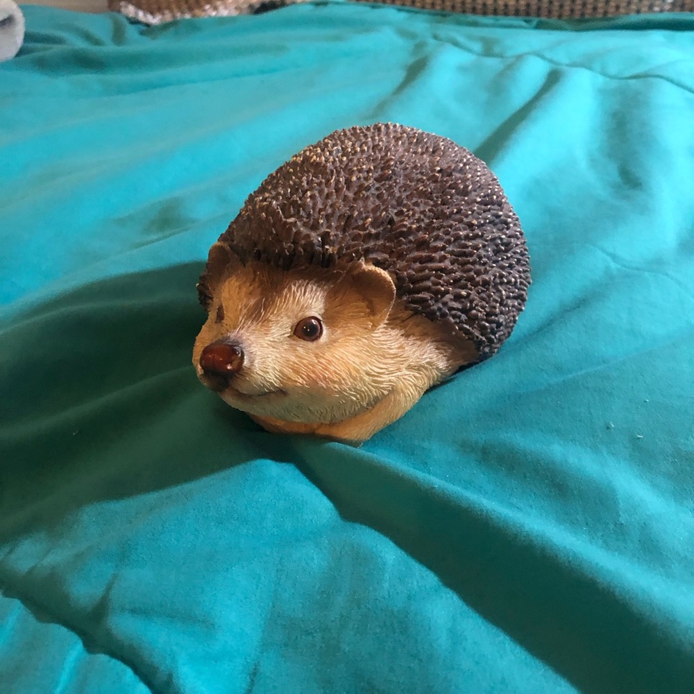 Hedgehog decor